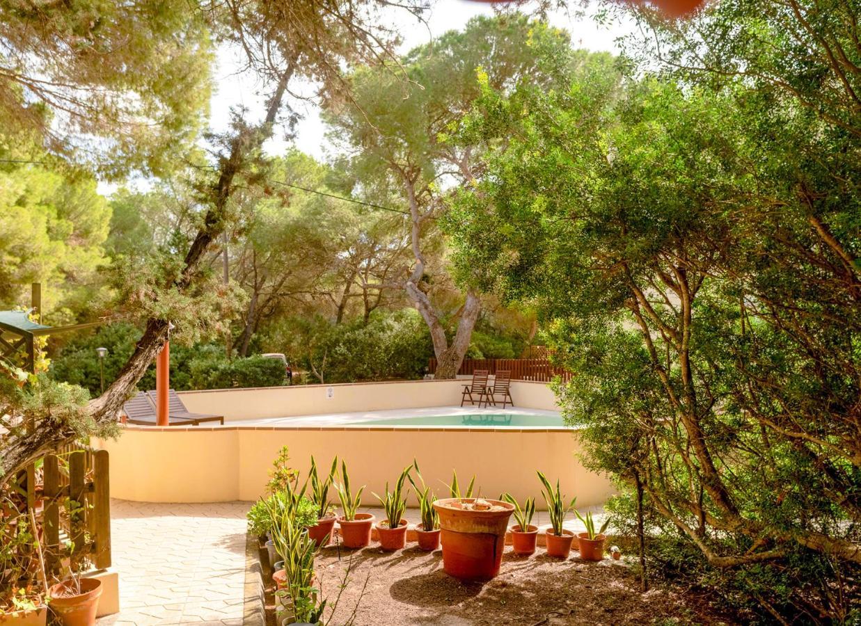 El Pino - Formentera Break Apartment Es Calo (Formentera)